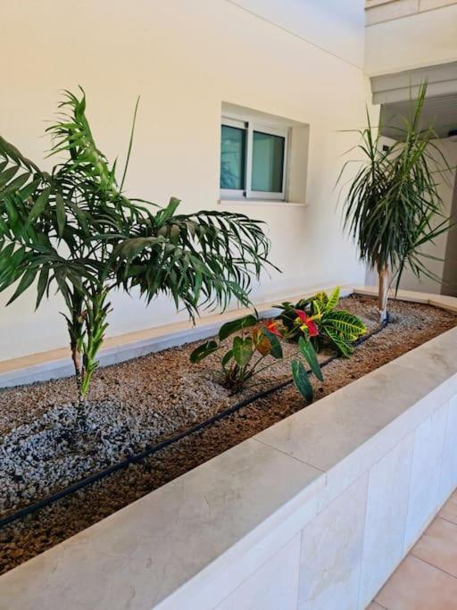 Homely Apt In Modern Building With Pool San Miguel de Abona Eksteriør billede